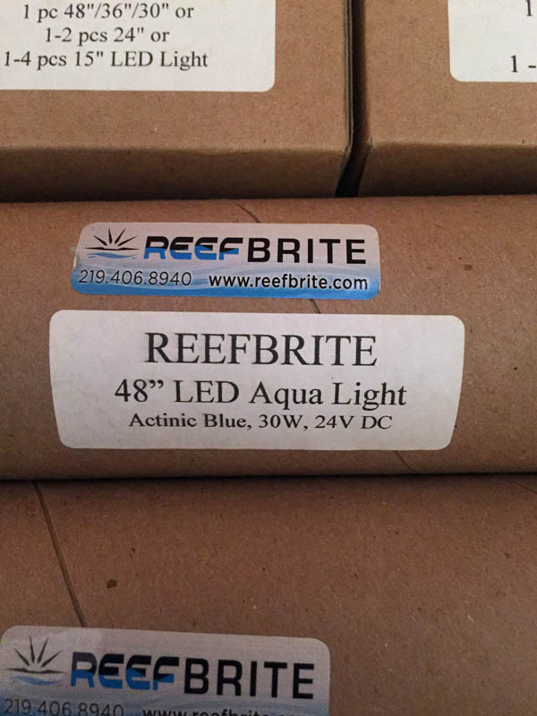reefbrite2.jpg