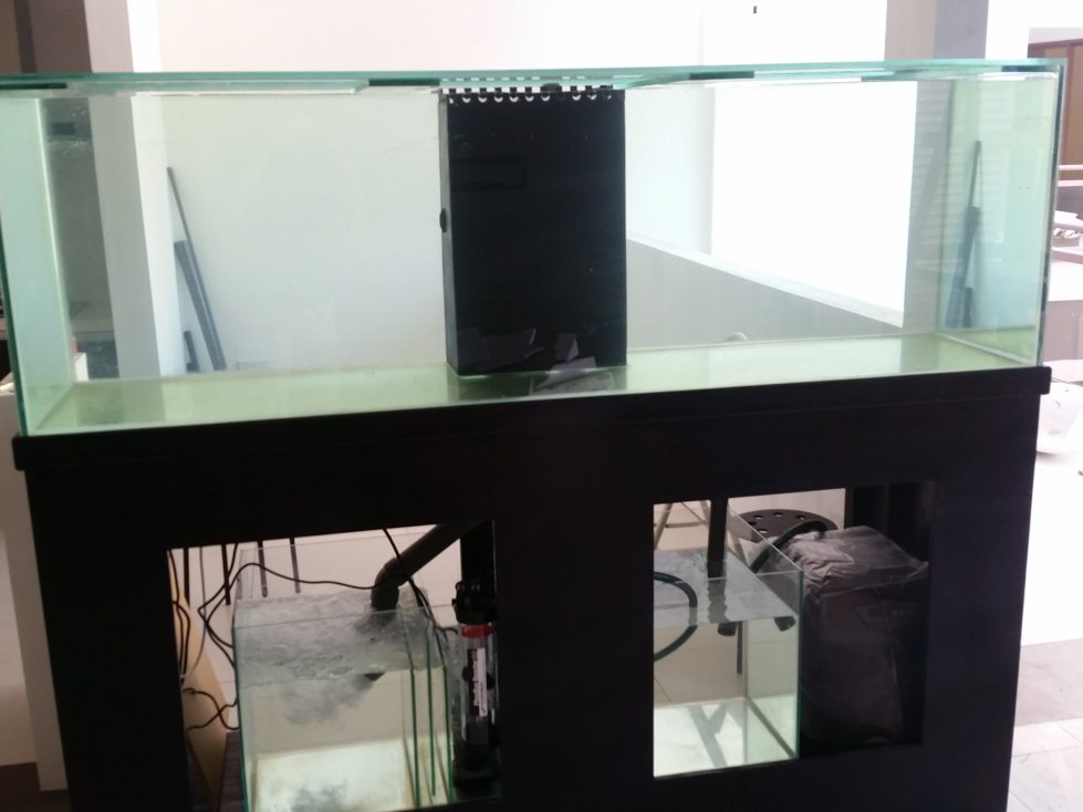 20150720_test5.jpg