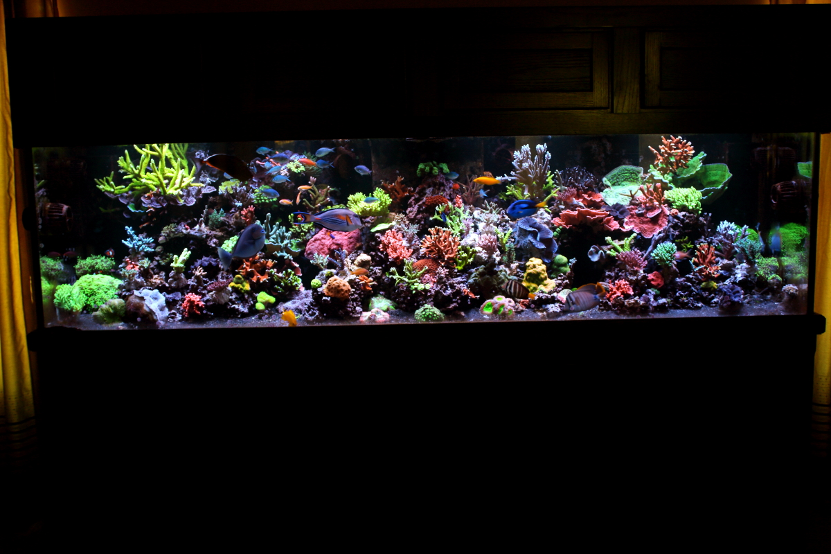 Sept20130002.JPG