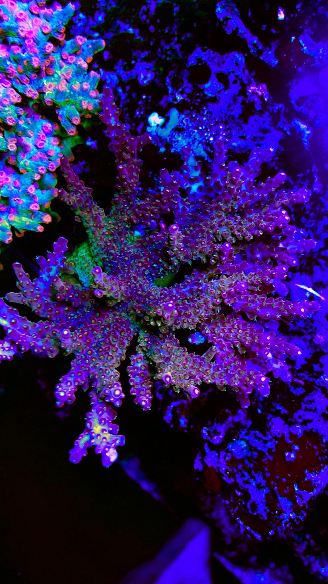8b5d74e73b92c8f271a226aaa791d32a.jpg
