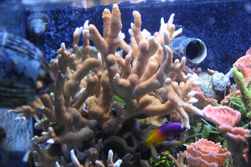 DSC_1593.JPG