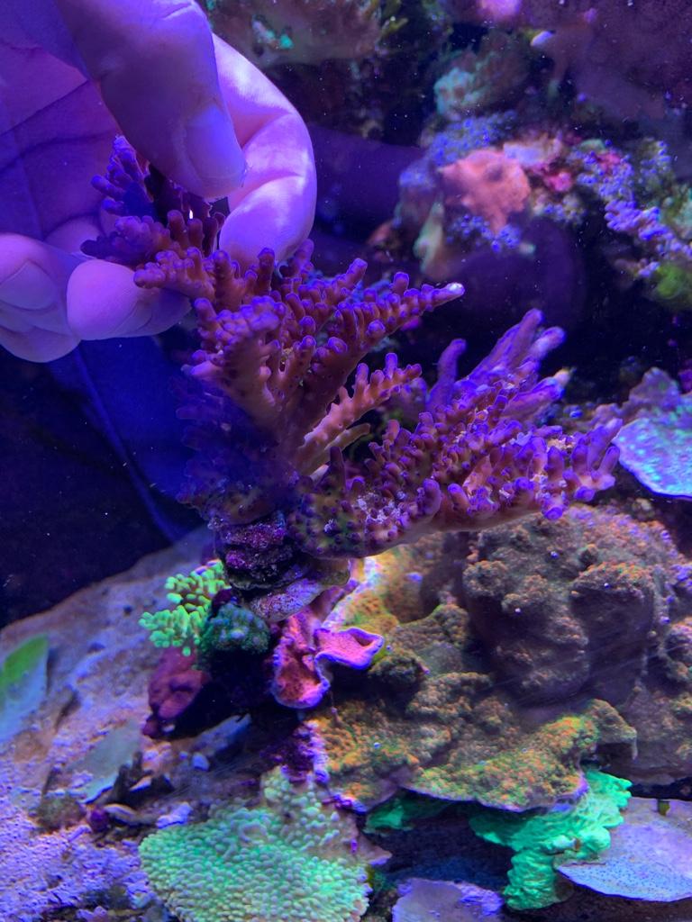 e543da07cf9a513a6ec92e4df6f90de4.jpg
