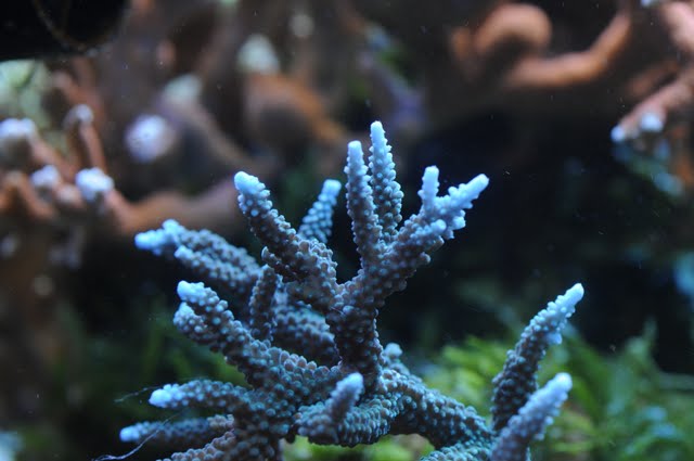 DSC_2240.JPG
