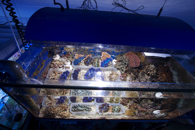 2008-02-frags4.jpg