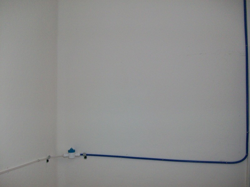100_6487.jpg