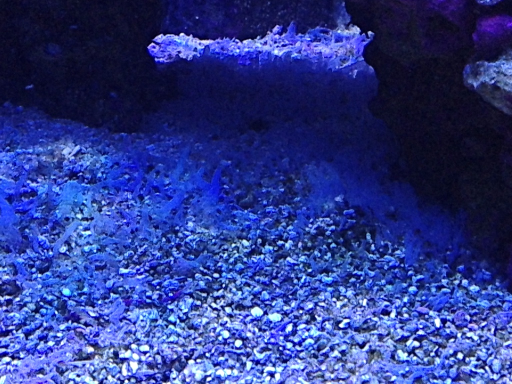 agu2u5a5.jpg