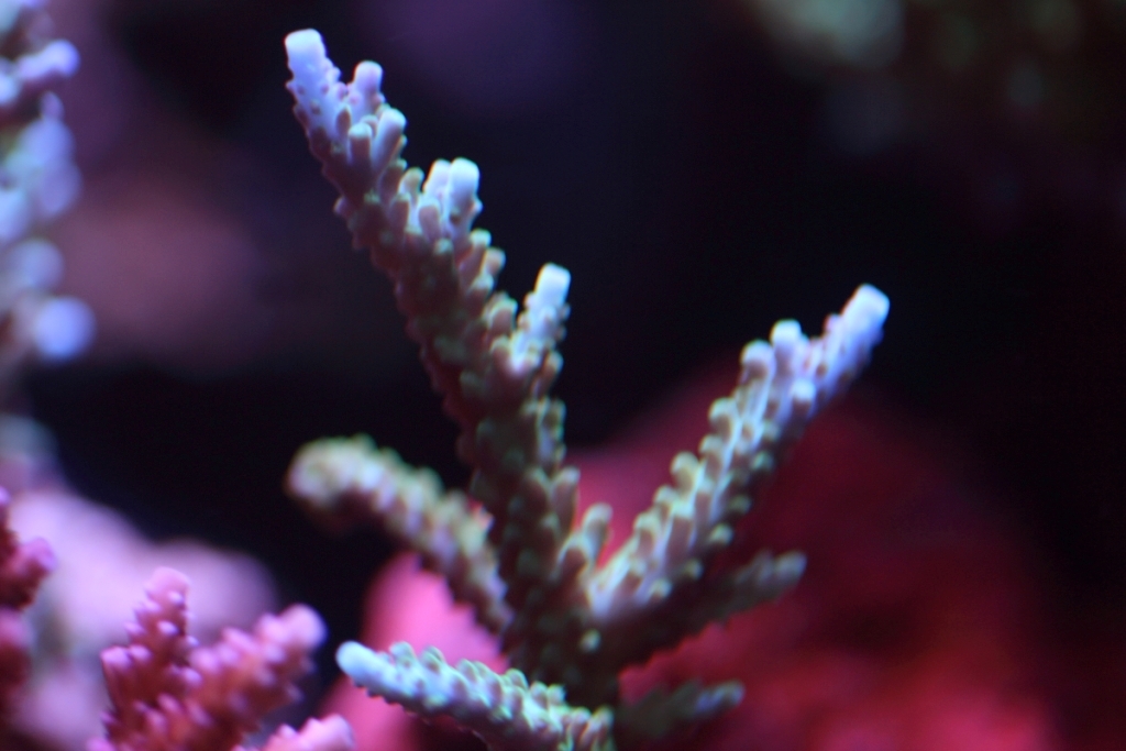 Nov2013M0011.JPG
