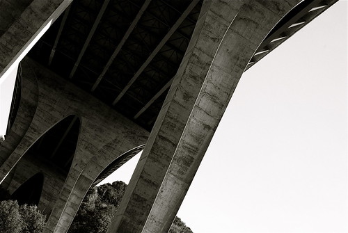 2810726430_1f8674f8d8.jpg