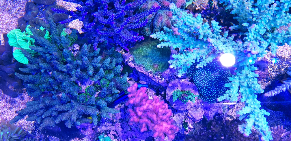 6923e5e55bb0457cb5a2615d5206ebf0.jpg
