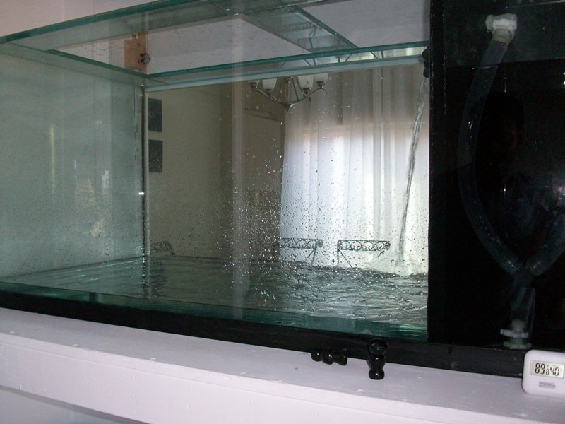 100_6375.jpg