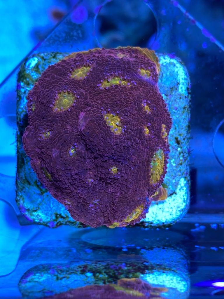 c5844fce5567c0343f5e43863df8d4e7.jpg
