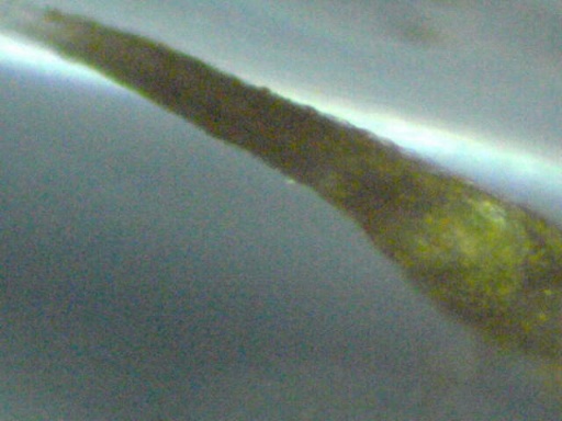 man_107_8.jpg