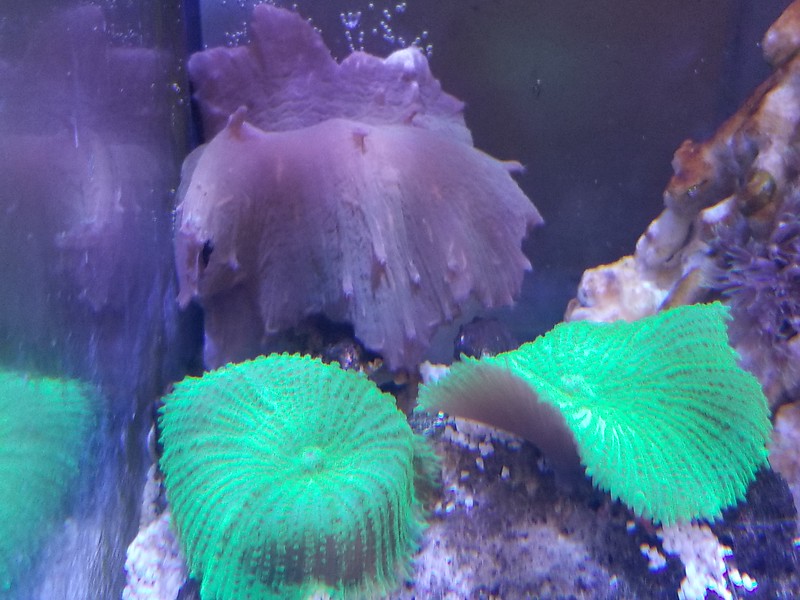 20171011_152817-L.jpg