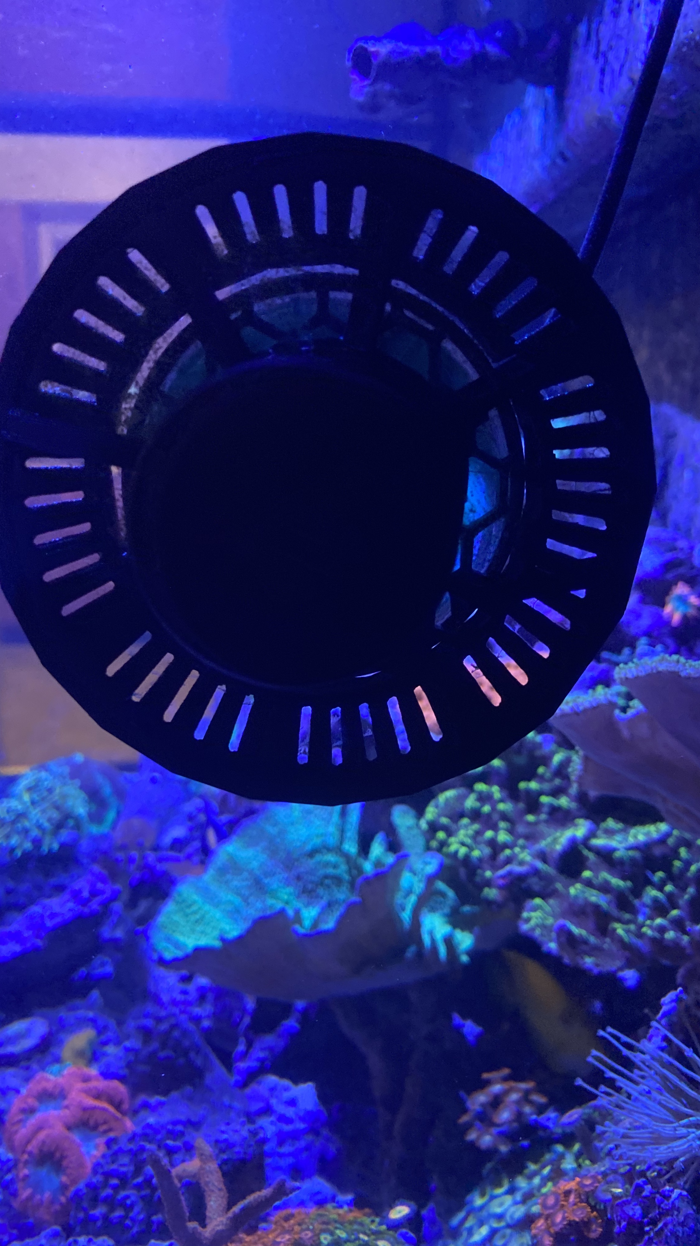 362946e5dccf4d4577a6c49ced16a283.plist