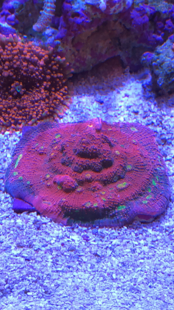 94edc17310b85ea413abe34cab0eda5e.jpg