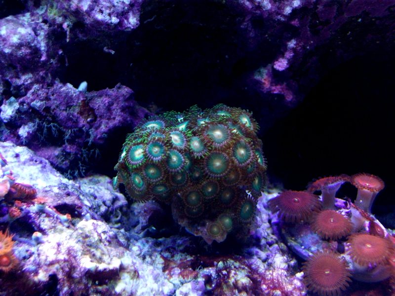 100_9645.jpg