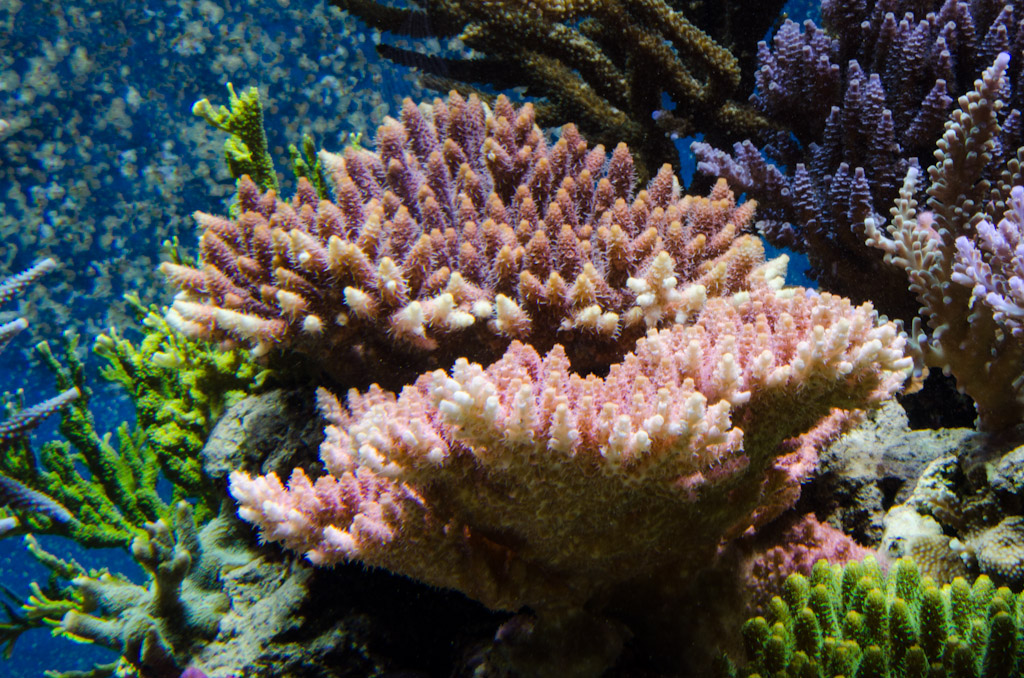 DSC_3735.jpg