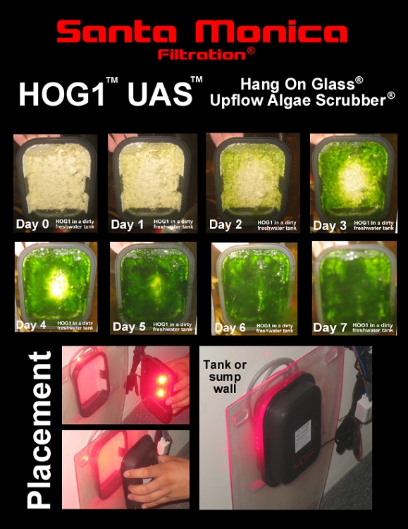 HOG1-OneSheetPage2.jpg