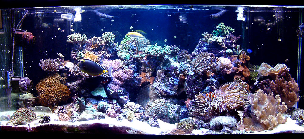 280g_full_tank_051406.jpg