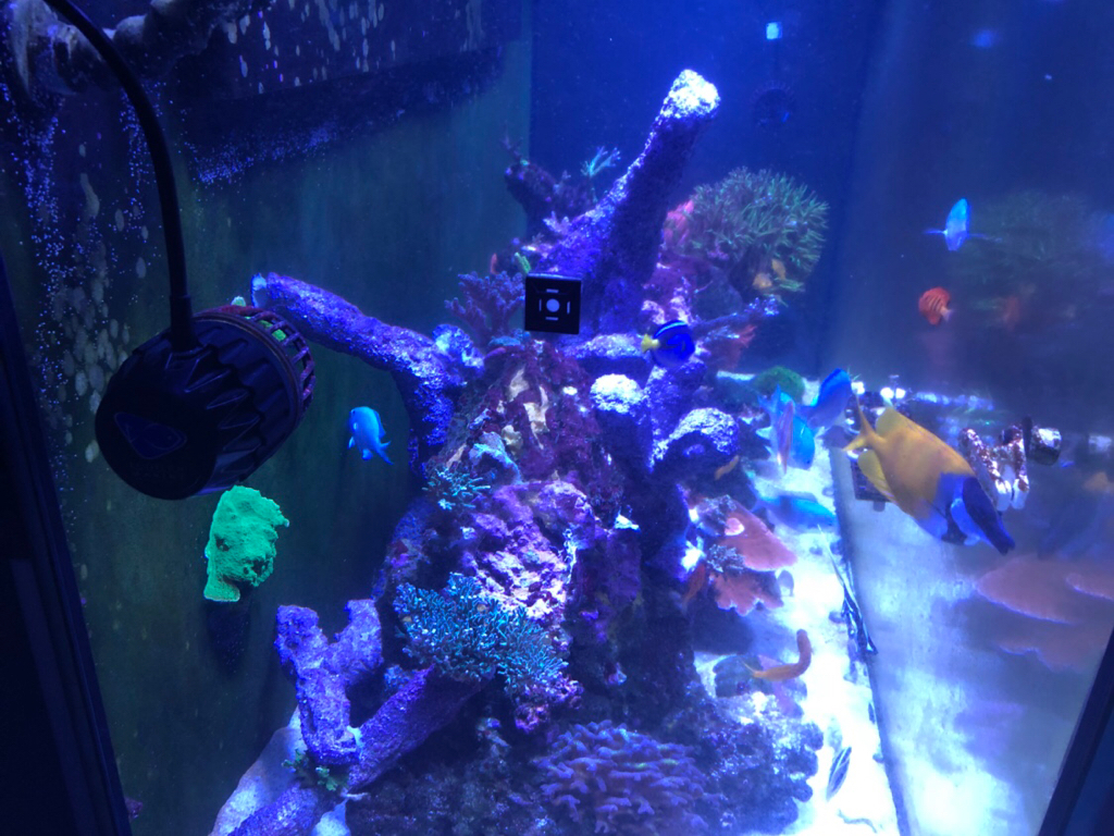 09167ec093c4e95e70e3233ac0adadf9.jpg