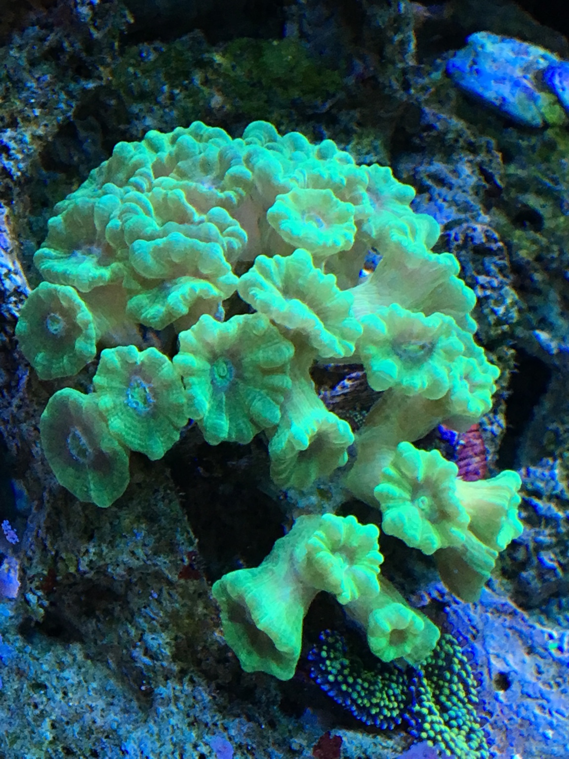 e4c804b185f22e8e597d3ab9a0c2efb6.jpg