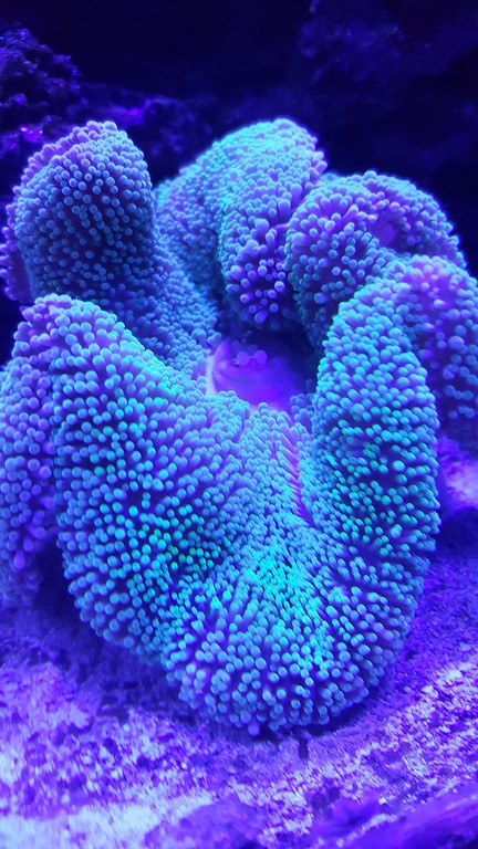 20170104_221909-XL.jpg