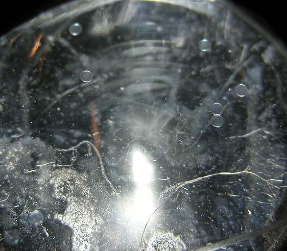 DSCN3134_8eggs.jpg