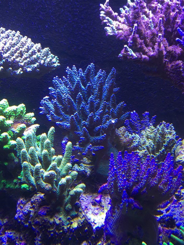 093ac7e180c5f1584e944b0965a9810d.jpg