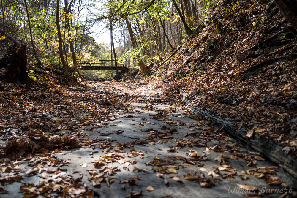 fall-run-park-dry-creekbed.jpg