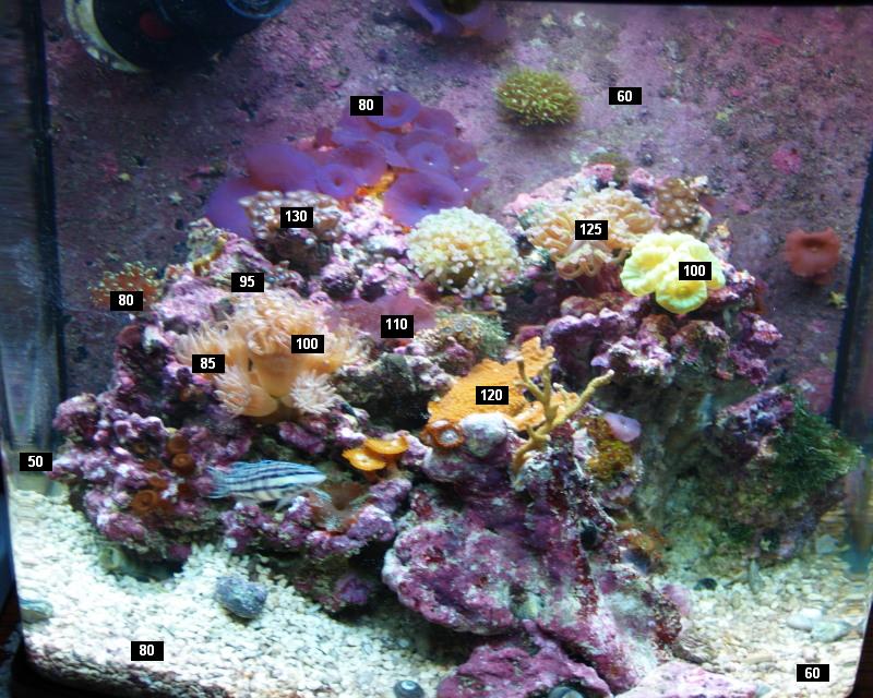 Nano_24G_SEP_10_2010_Small.jpg