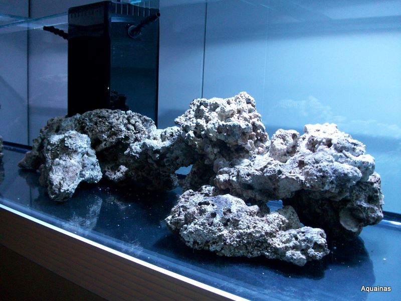 100_6712.jpg