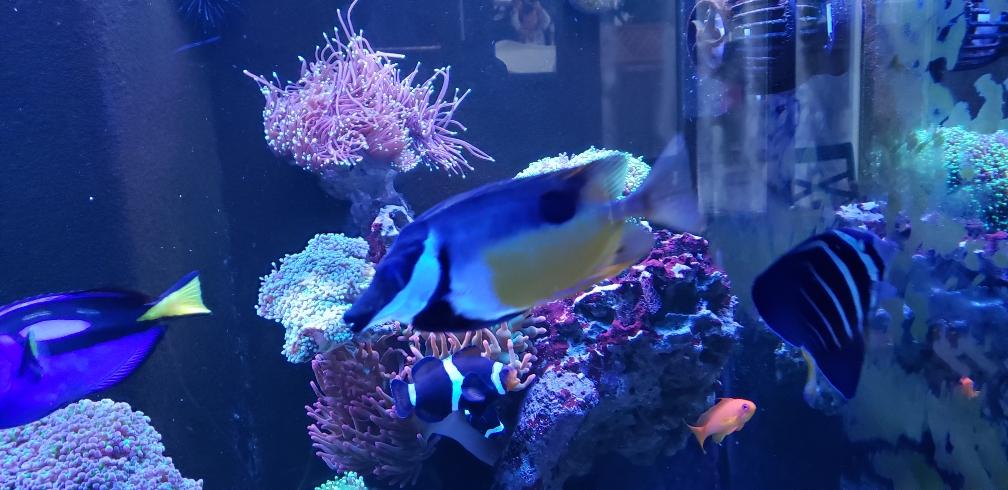 8fd41b064562789e784d9fcb3971d5d7.jpg