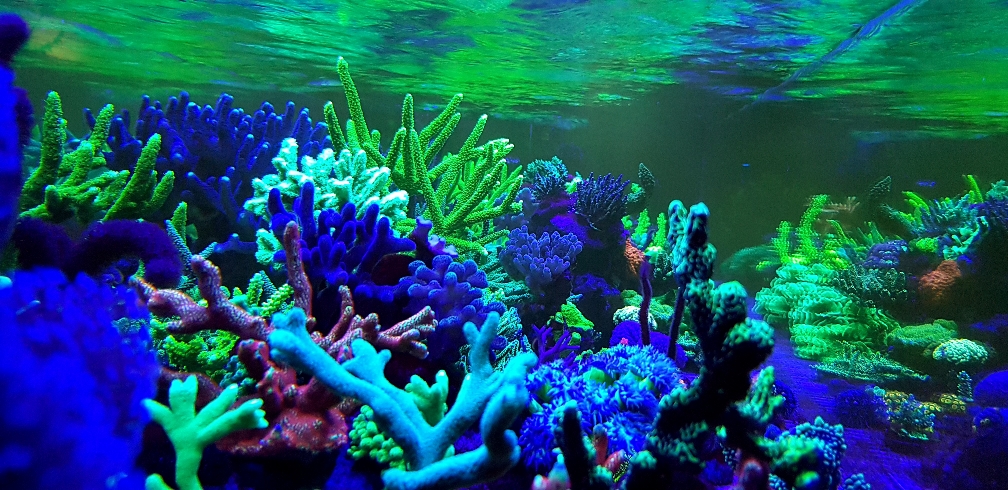 328d569b375dfe4526ee901c6c1f9189.jpg