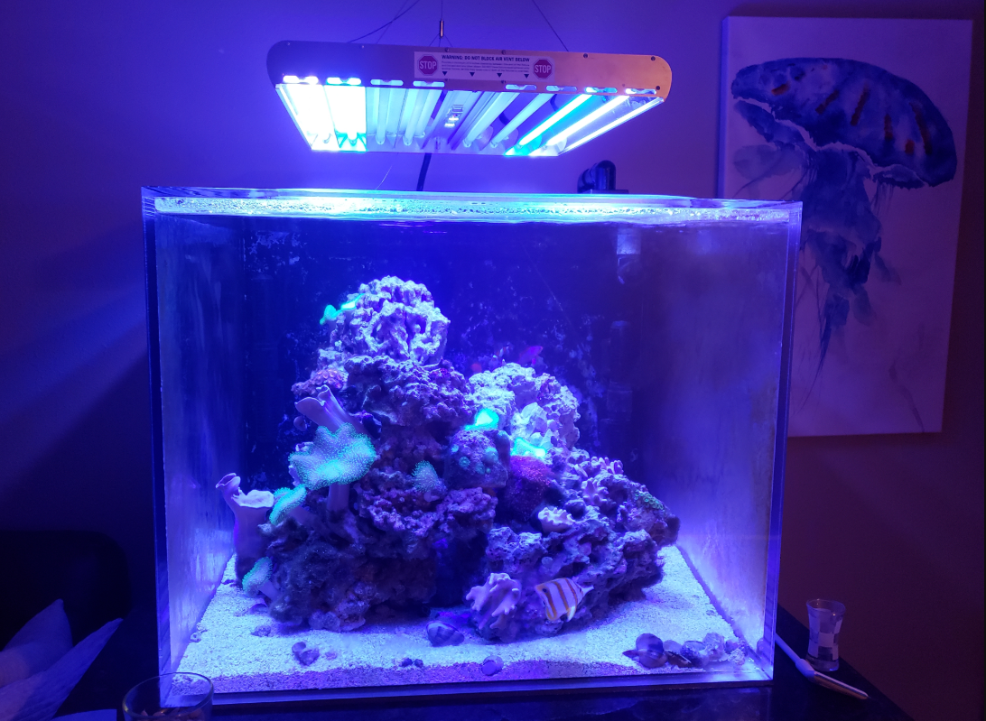tank-light.png