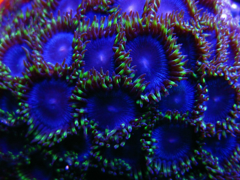8124929664_9f04a95c91_c.jpg