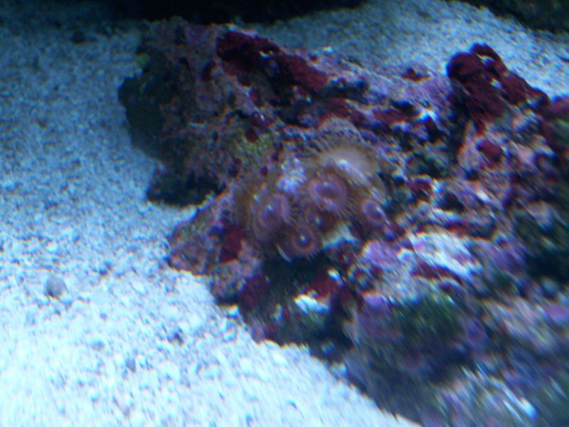 100_8529.jpg