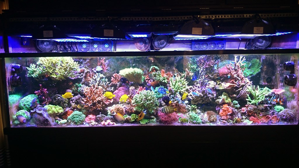 DSC_0032~2.jpg