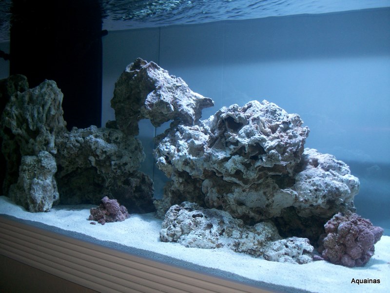 100_6799.jpg