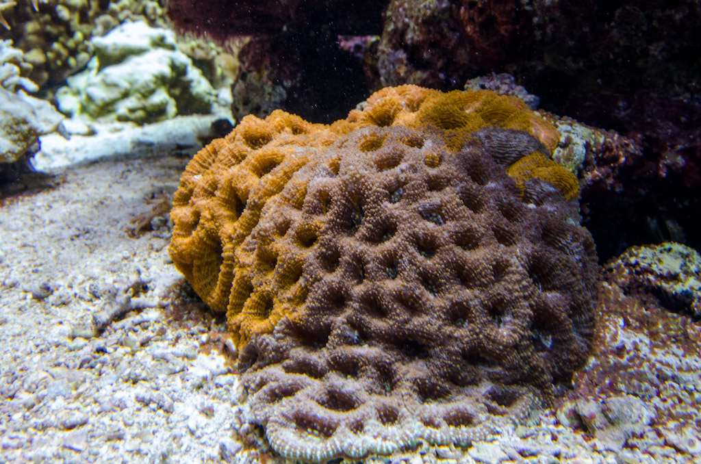 DSC_3715.jpg