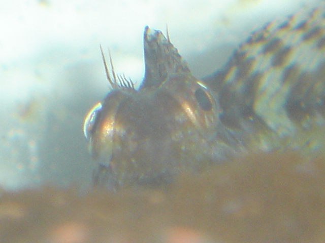 DSC00692.JPG