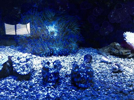 B4we3InIUAADiyJ.jpg:large