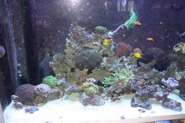 fts006.jpg