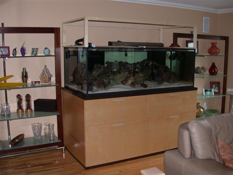 DSCN2339.JPG