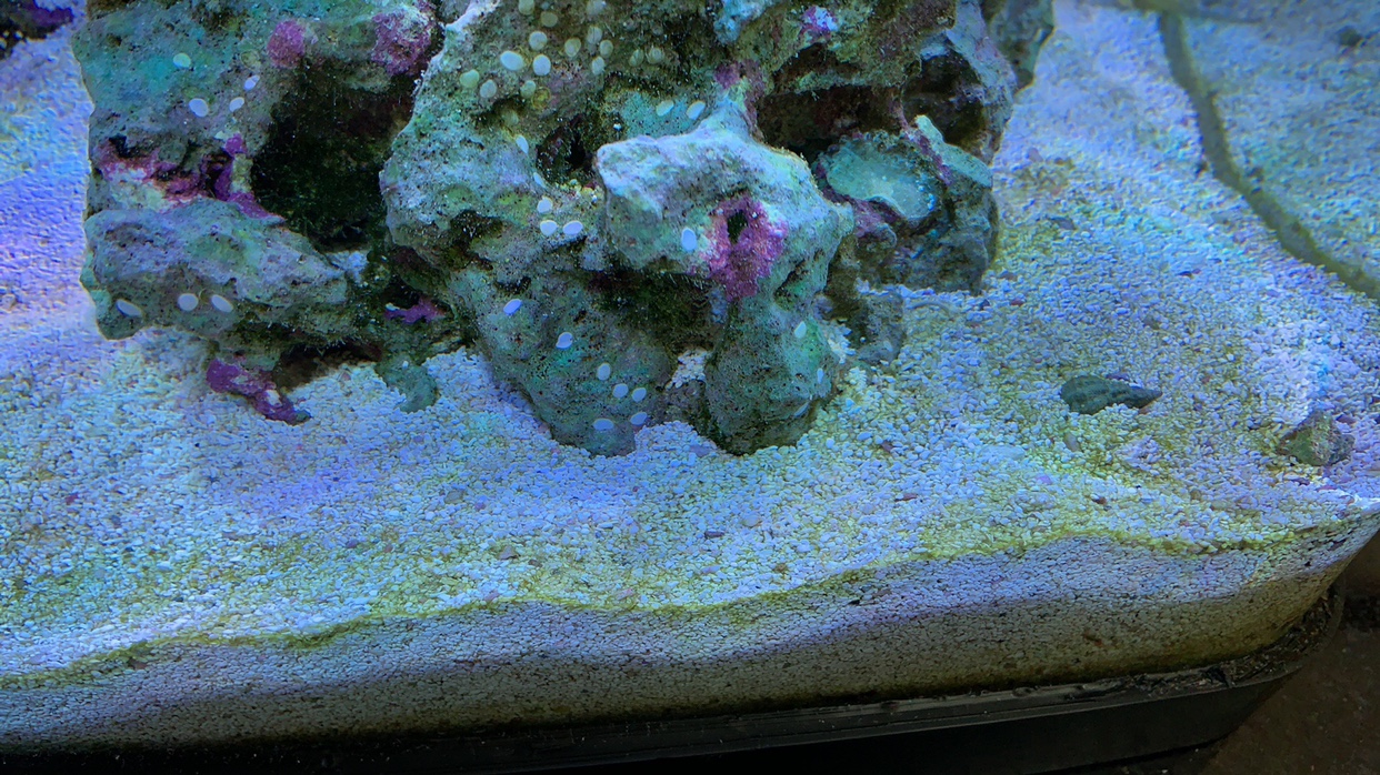 688ccd71e53ddce0e38f386f7829fa6f.jpg