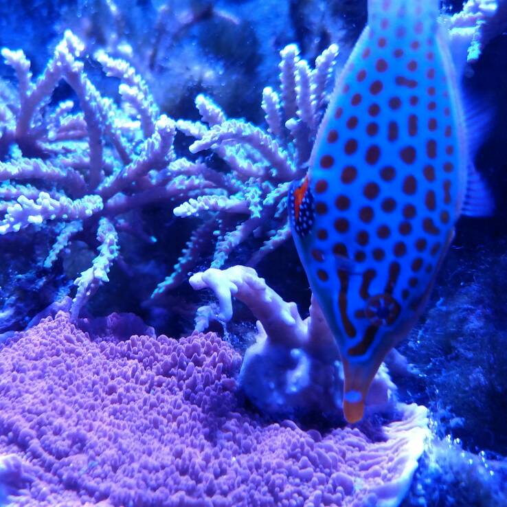 66017198c35dac470760384f7aa7628b.jpg