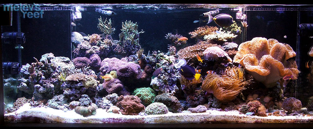 fts_280g_0413.jpg