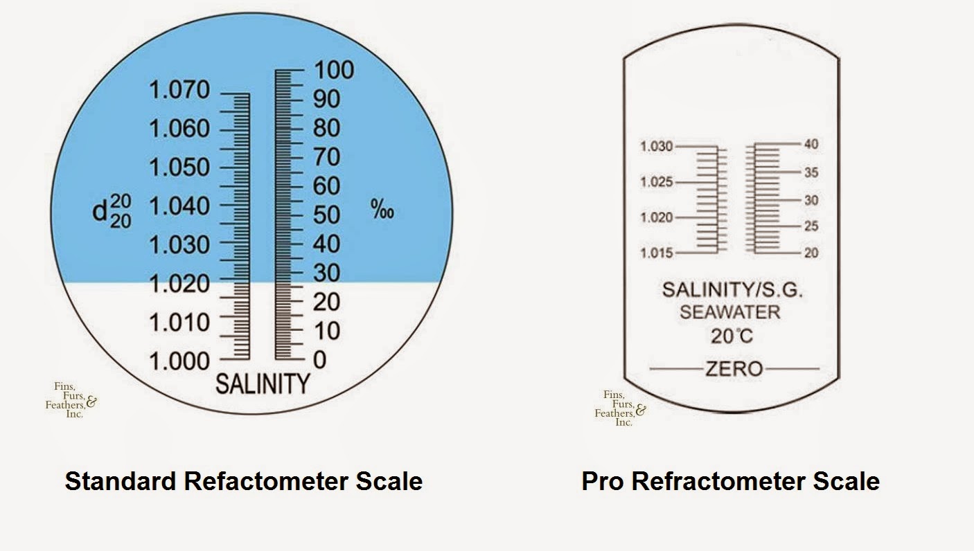 scale.jpg