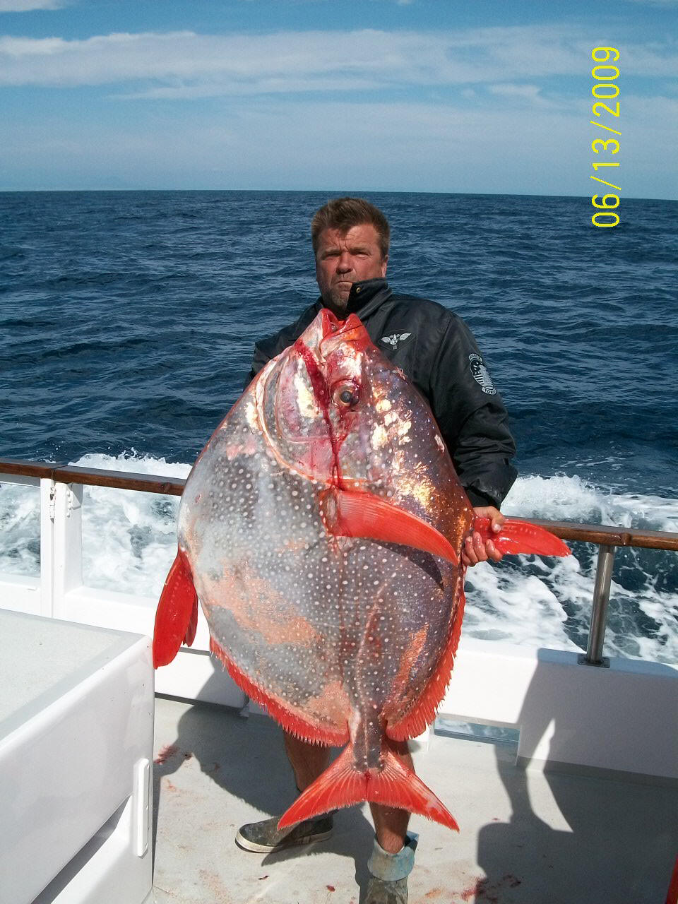 opah_fish_strange.jpg
