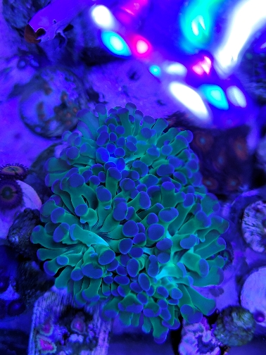 5d6c9fc68e38ba5276837678bb82d56a.jpg