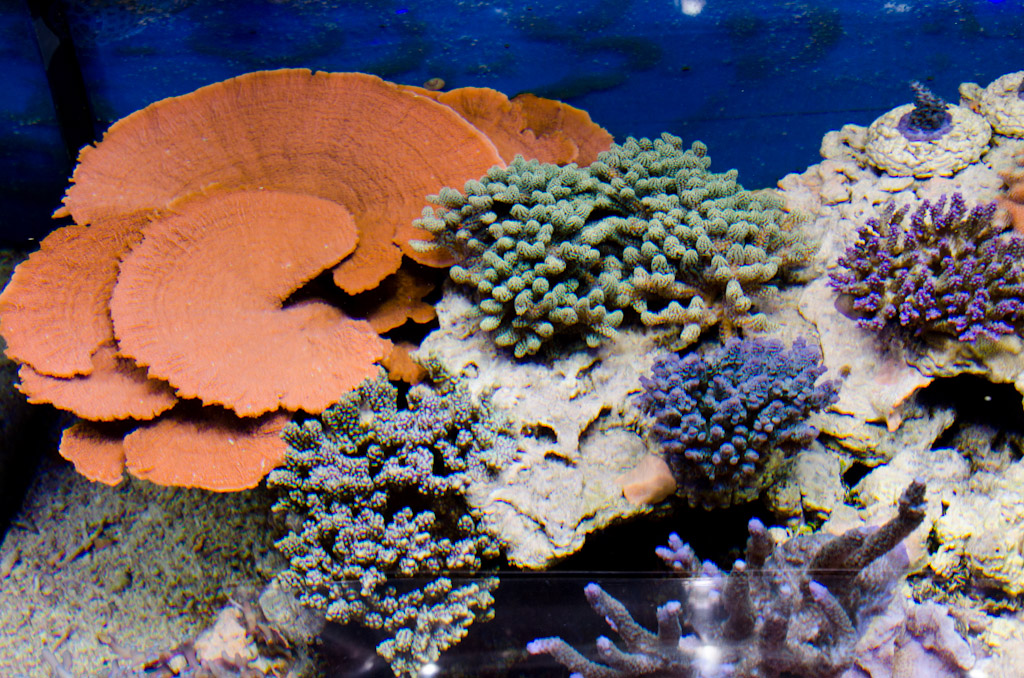DSC_3720.jpg